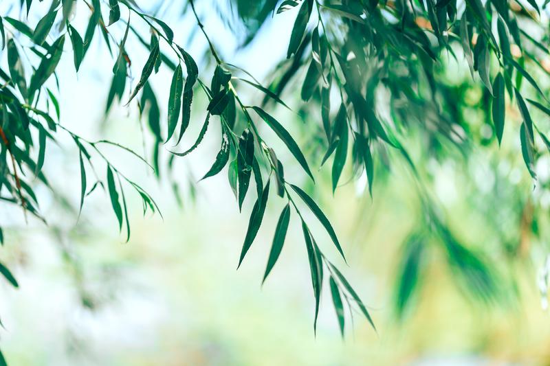 超越经典的宏观经济学，形成新的宏观研究范式